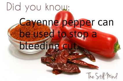 Did you know_cayennepepper5