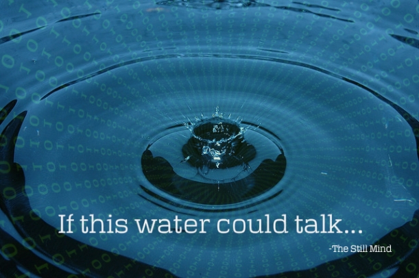 if-this-water-could-talk_tagged